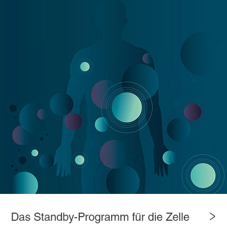 blog-Das-Standby-Programm-fuer-die-Zelle.jpg