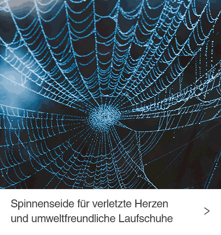 blog-Spinnenseide-fuer-verletzte-Herzen-und-umweltfreundliche-Laufschuhe.jpg