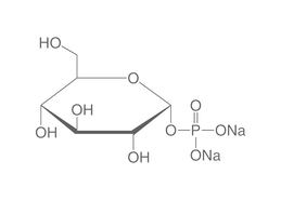 &alpha;-D-Glucose-1-phosphate disodium salt tetrahydrate, 1 g
