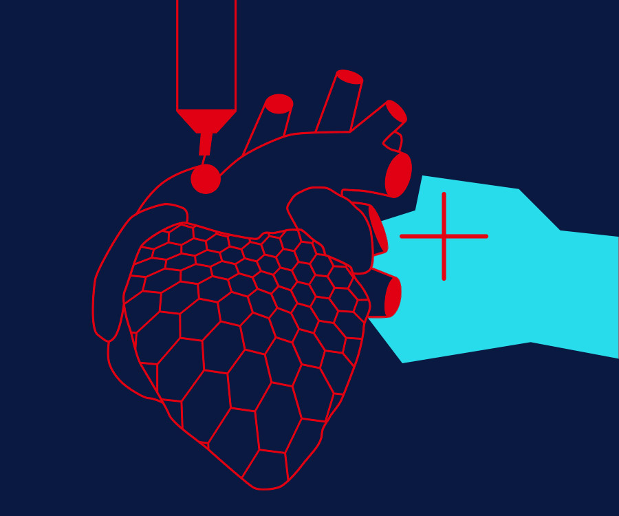 Bioprinting-ai-Herz.jpg Bioprinting-ai-Herz.jpg