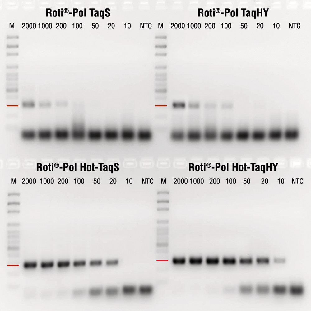 RotiPol-Sensitivitaetsassay