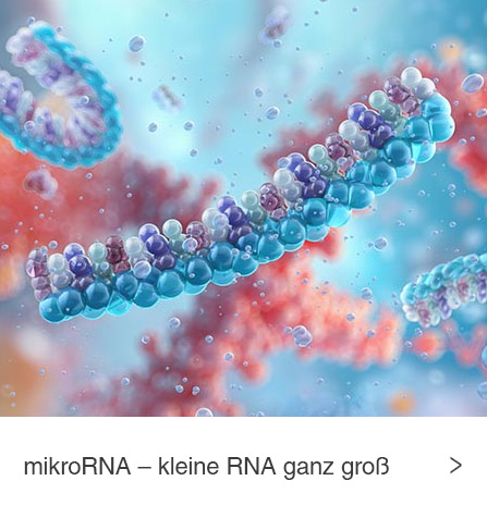 blog-mikroRNA.jpg blog-mikroRNA.jpg